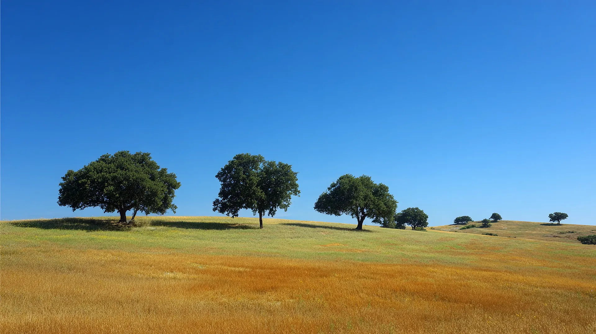 Alentejo travel guide golden plains walled villages Portugal