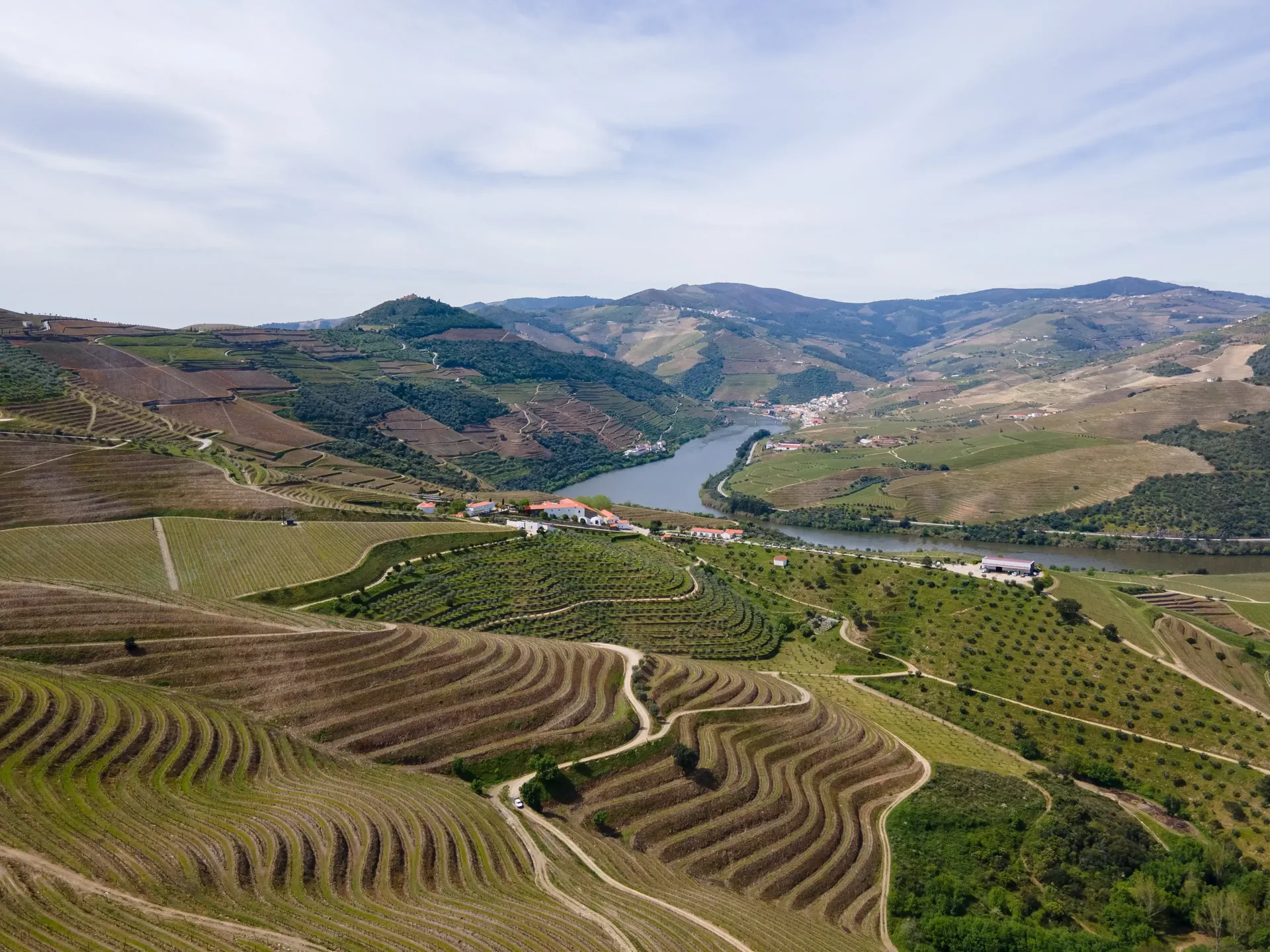 Wide panoramic view of the UNESCO World Heritage Alto Douro terraced vineyards — steep hillside steps of schist stone covered in carefully tended vines dropping to the Douro River far below, the most iconic landscape in Northern Portugal and one of the most beautiful wine-growing landscapes on earth