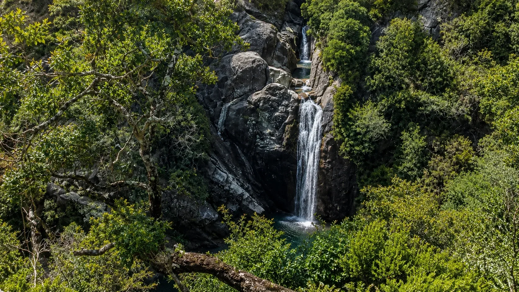 The Cascata do Arado waterfall in Peneda-Gerês National Park — a cascade tumbling over granite ledges through ancient pedunculate oak woodland into a clear deep mountain pool, surrounded by moss-covered boulders and the dense forest of the national park's interior in Northern Portugal