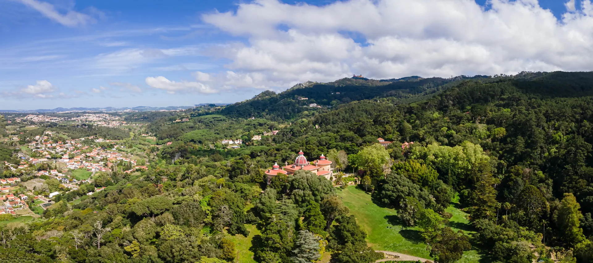 The lush green forested hillside of the Serra de Sintra — dense Atlantic woodland surrounding the UNESCO palaces